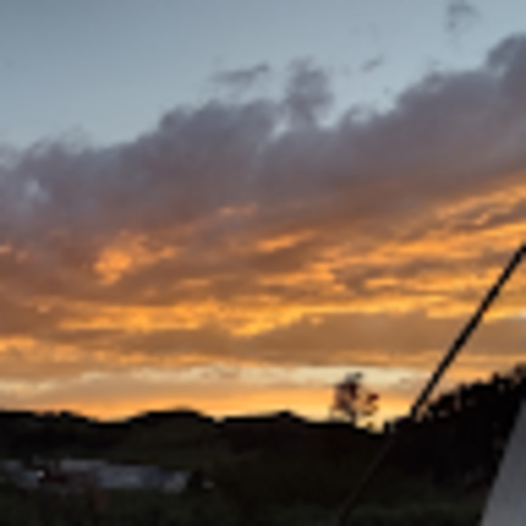 Meet your Posher, Mak - Picture 1 of 1